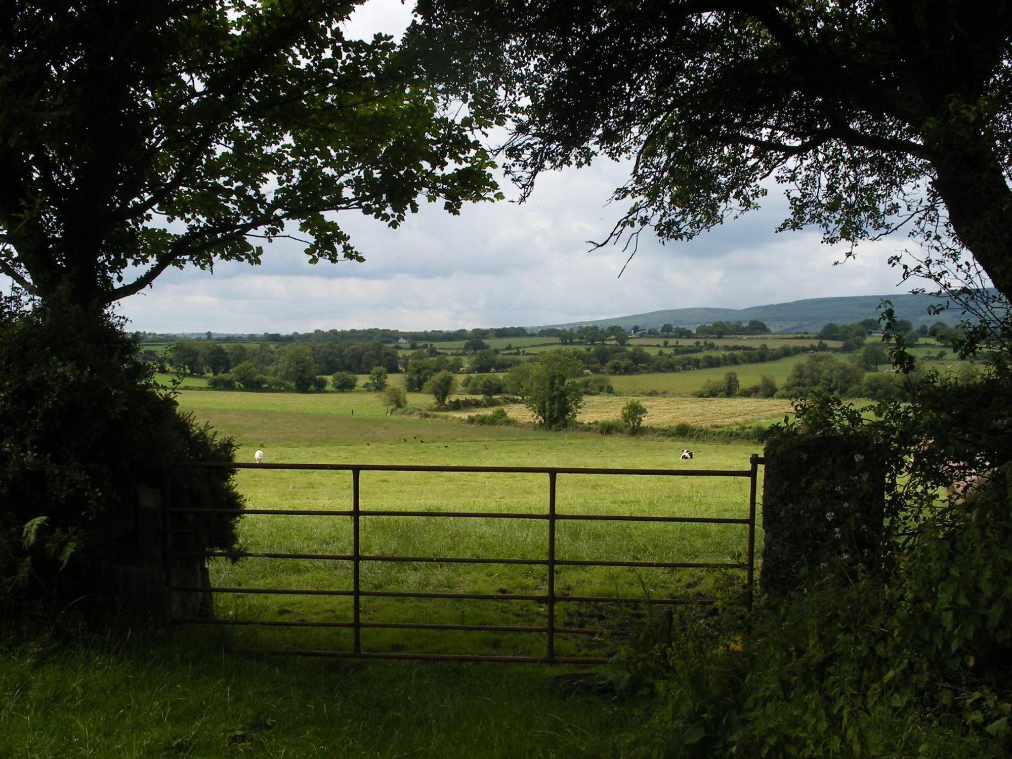 Brandon View House B&B Graiguenamanagh Exterior foto